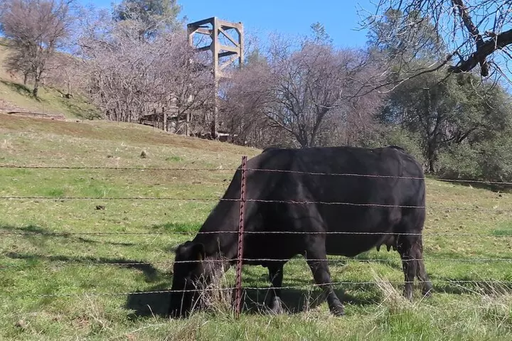 A Highway 49 Drive: A Self-Guided Audio Tour from Placerville to Ja...