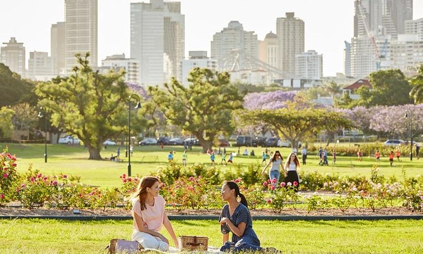 Image 4: Brisbane Insights Tour