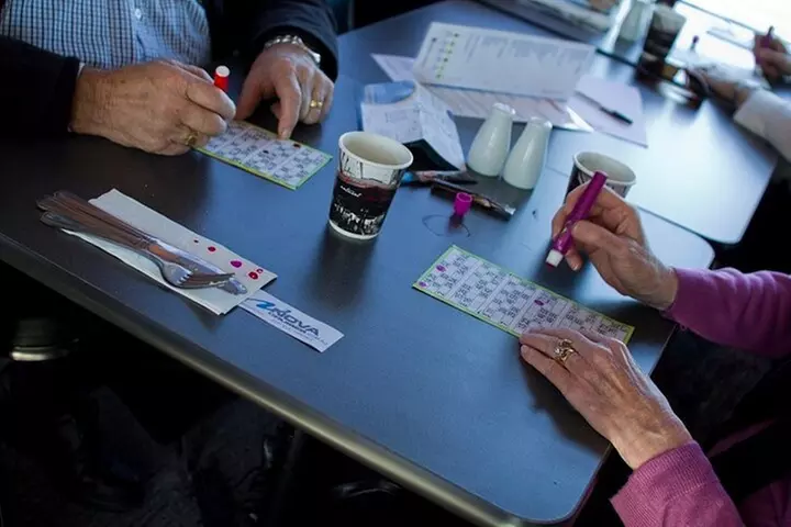 Shared Newcastle Harbour Cruise - Primary Image