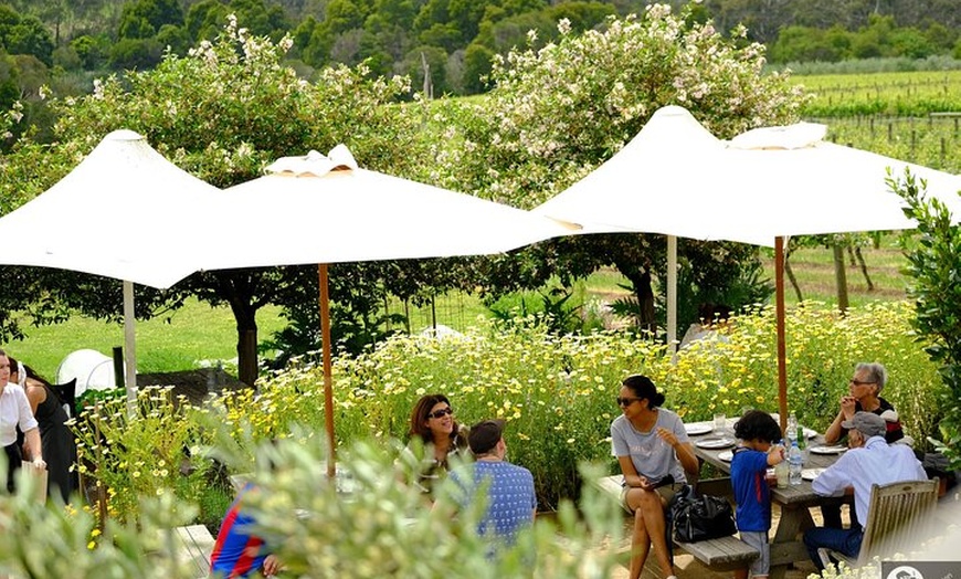 Image 4: Montalto Vineyard: Mornington Peninsula Discovery Wine Tasting and ...