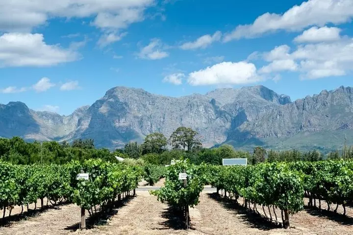 Smoky Mountains 3 Days or 7 Days Wine Tasting Pass - Second Medium