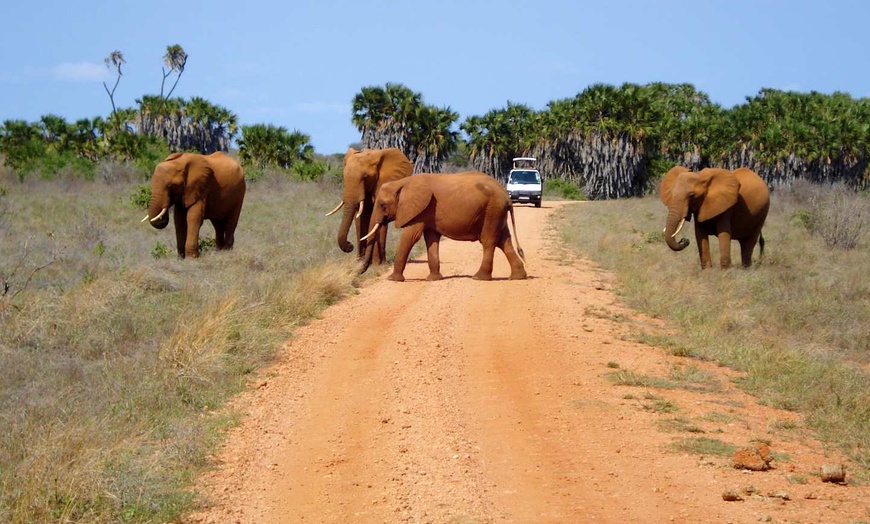 Image 12: ✈ KENYA | Mombasa - De la savane authentique aux rivages du Kenya 4...