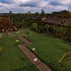Image 10: ✈ BALI | Ubud - Alaya Resort Ubud 5*, 6 nuit - Premium