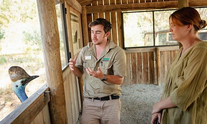 Image 2: Small-Group Murray River Adventure - Paddle Steamer & Wildlife