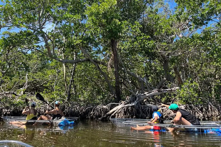 Clear Kayak Ecotour at Robinson Preserve in Bradenton, Florida
