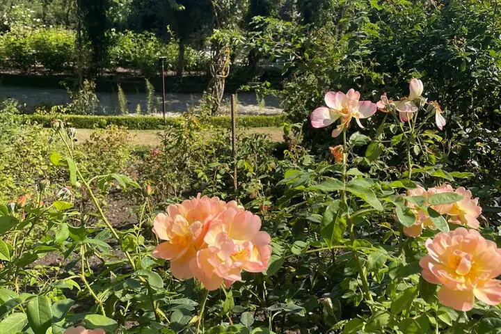 Edinburgh: Holy Island, Alnwick Castle & Kingdom of Northumbria