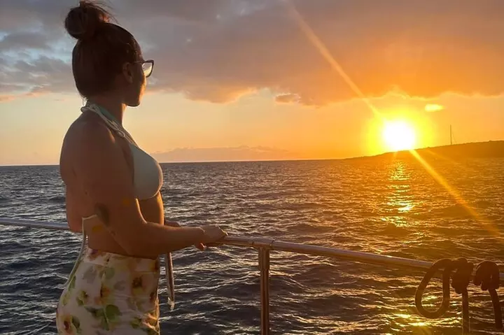 Catamarán de avistamiento de ballenas y delfines con traslado y buffet