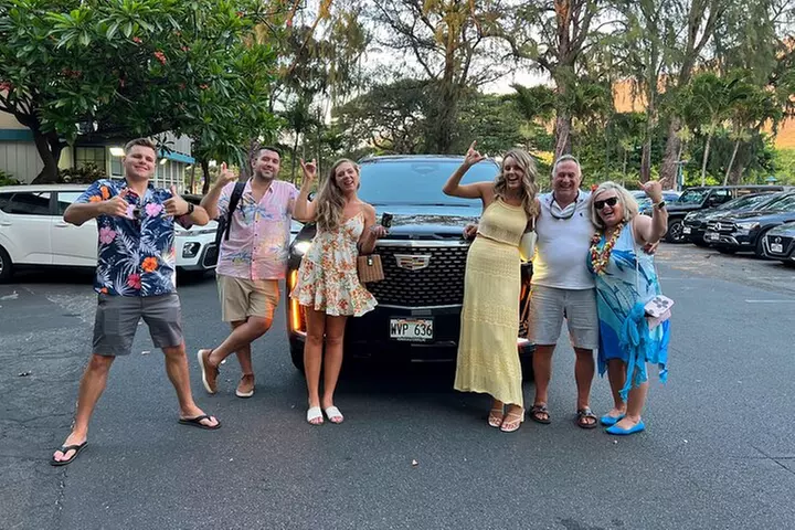 One-Way VIP Transfer: Honolulu Airport, Waikiki, Cruise Port