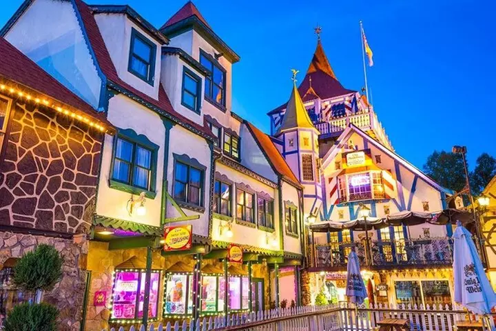 2 Hour Culture Tour in Helen