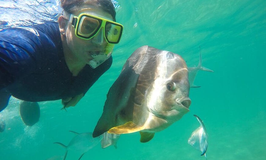 Image 12: Aquascene Magnetic Island Discovery Tour