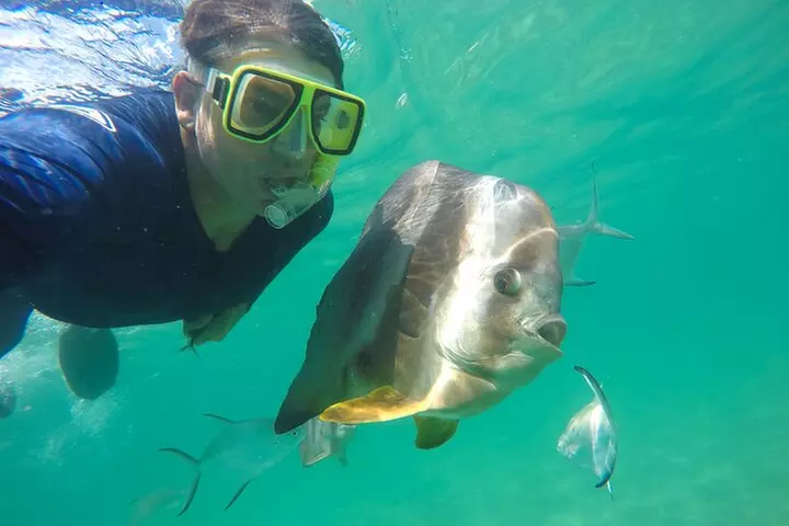 Magnetic Island Discovery Tour with Snorkeling & Paddle Boarding