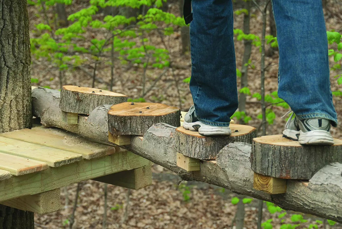 $45 For A 3-Hour Treetop Challenge For 2 (Reg. $98) - Primary Image