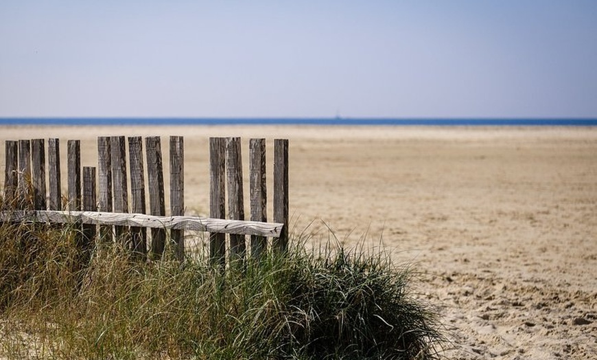 Image 9: Tour privado Tarifa para ver ballenas y delfines