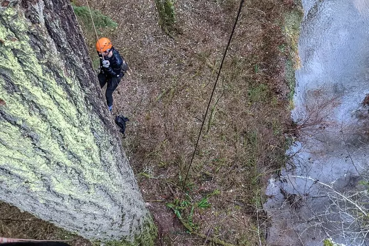 Old-Growth Tree Climbing at Silver Falls State Park