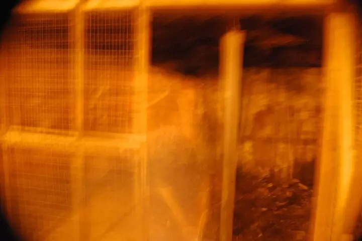 Murder & Mayhem Haunted History Walking Tour