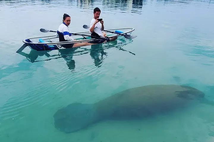 Guided Clear Kayak Eco-Tour of Jupiter