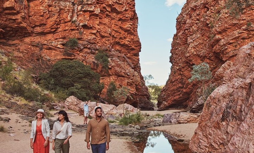 Image 9: Best of Alice Springs Full Day Tour