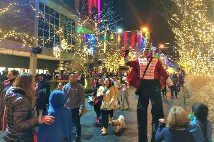 Christmas Lights and Snowflake Lane photo tour - Primary Image