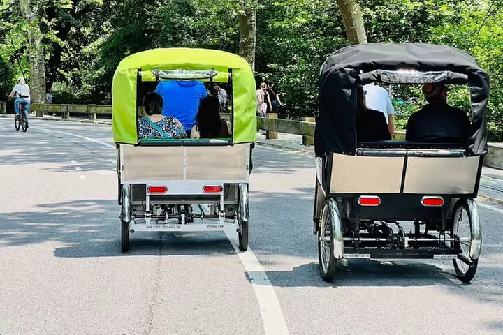Central Park Pedicab Tour ( starting - Natural History Museum )