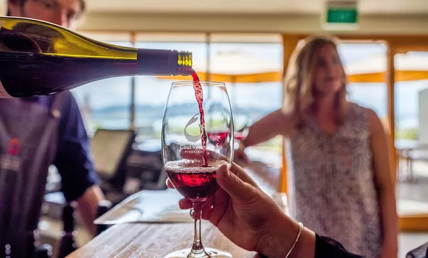 Image 5: Mona and Wine Experience Tour