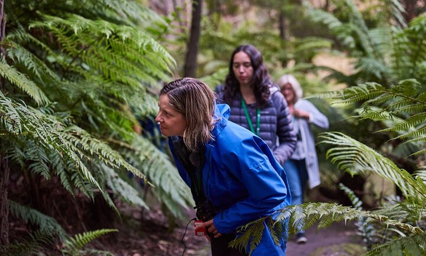 Image 8: Dusk Discovery Tour