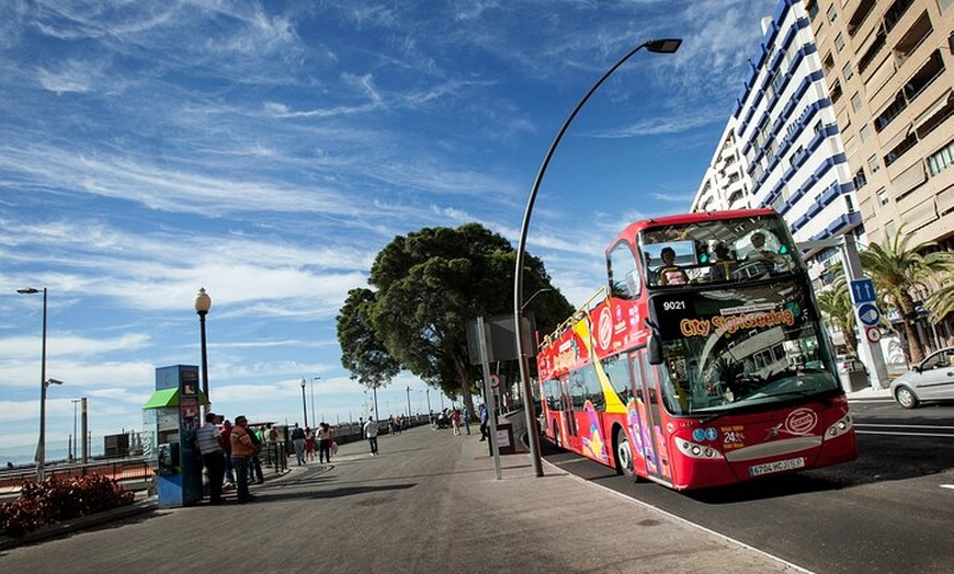 Image 13: Tour en autobús turístico por Santa Cruz de Tenerife