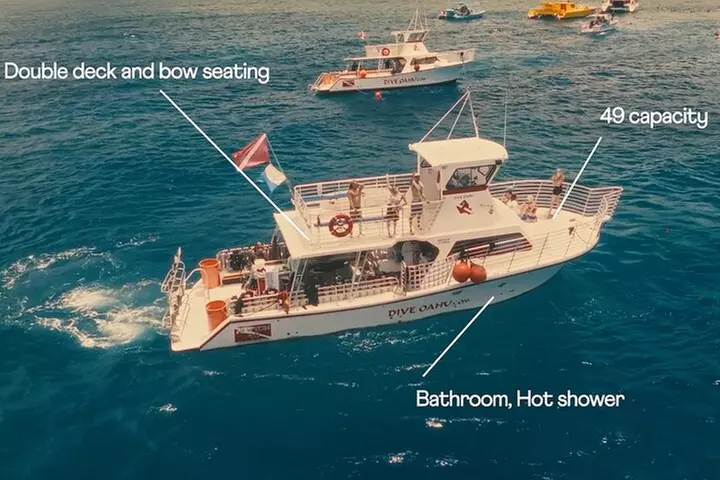 Certified Diver: 2-Tank Shallow Reef Dives off Oahu