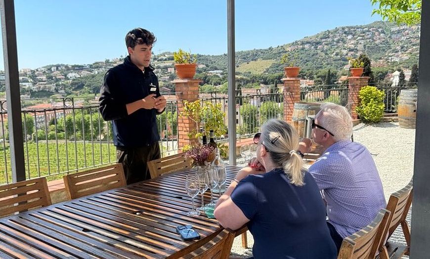 Image 2: Gaudí Unveiled & Premium Wine Escape - Tour Privado
