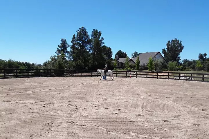 Top experience horse back riding and trails - Second Medium