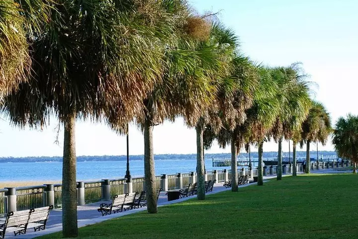 Private Historic Horse & Carriage Tour of Charleston