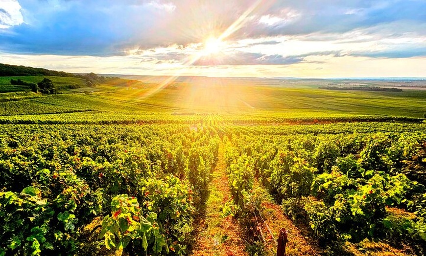 Image 6: Visite d'une journée complète en petit groupe de Champagne Pommery