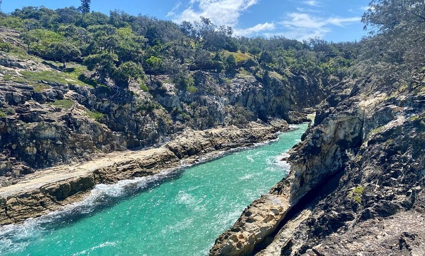 Image 9: North Stradbroke Island WILDLIFE Adventure Tour from Brisbane