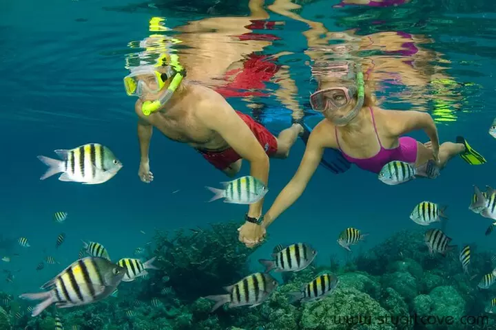 Nassau Shore Excursion: Bahamas Snorkel Adventure - Second Medium