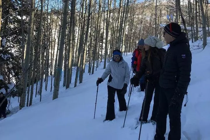 Private Park City Snowshoe Excursions (9:30am/12:30pm start time) - Primary Image