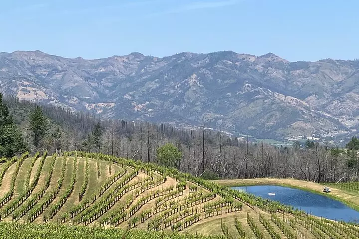 Best Private Wine Tours of Napa Valley Sonoma for up to 8 people