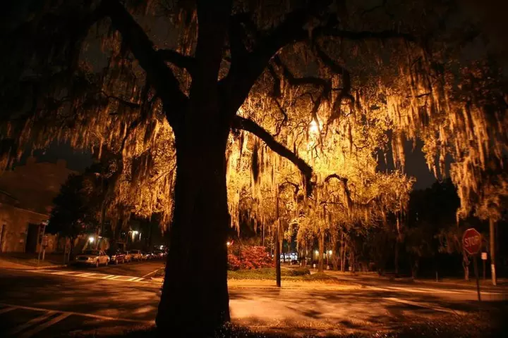 Savannah's 13 Ghosts, Voodoo, Murder & Mystery Tour