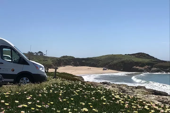 Small-Group Wine Country Tour from San Francisco with Tastings