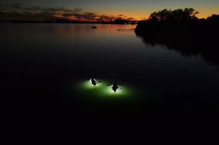 Sarasota - Clear Kayak LED Night Glass Bottom Tour