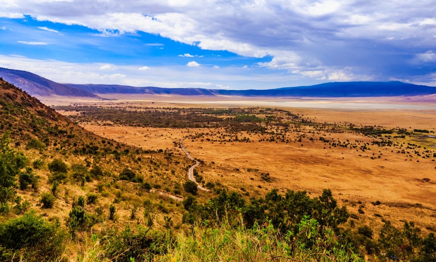 Image 16: ✈ TANZANIA | From Kilimanjaro to Zanzibar - Safari in the savannah ...