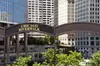 Chicago River Walk Tours