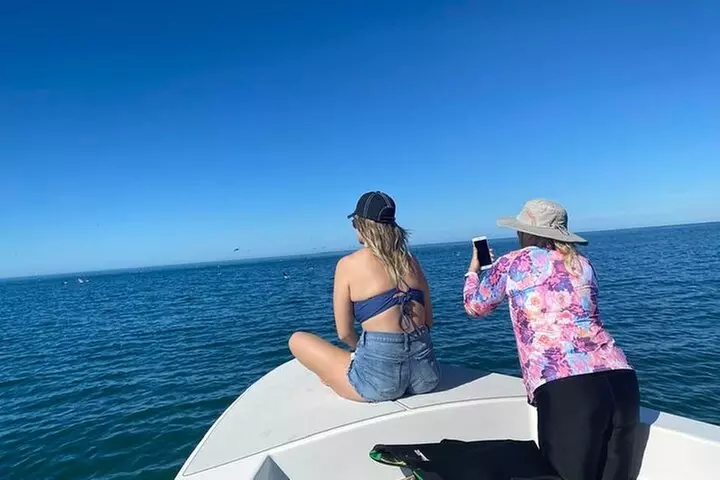 Private Day Boating Charter out of Sarasota, Floridsa