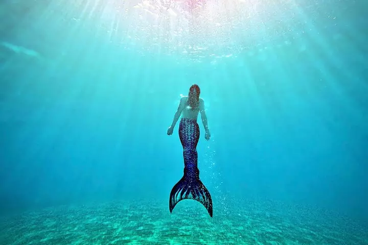 Mermaid Ocean Swimming Lesson in Maui - Primary Image
