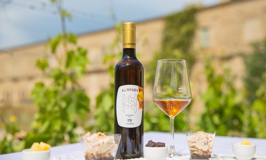 Image 5: Degustazione di vini per gli amanti del Feudo Ramaddini