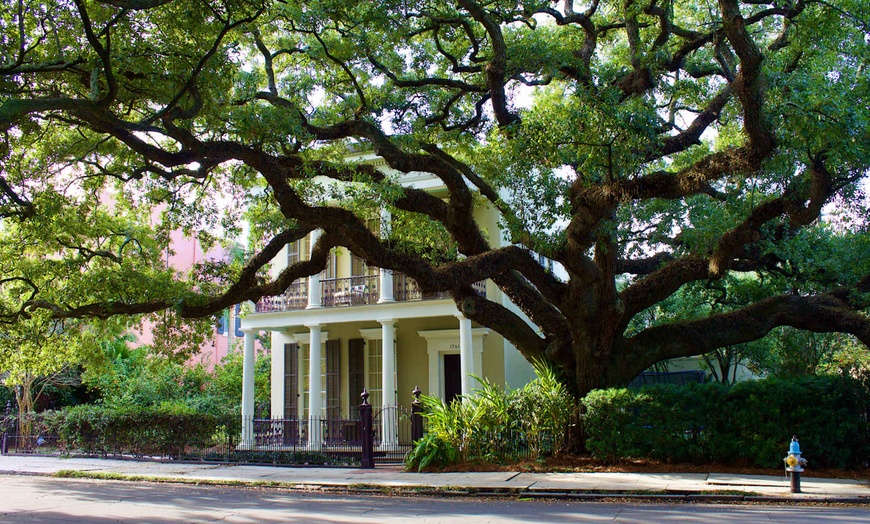 Image 4: ✈ UNITED STATES | New Orleans - Explore Louisiana by car 3* - Self-...