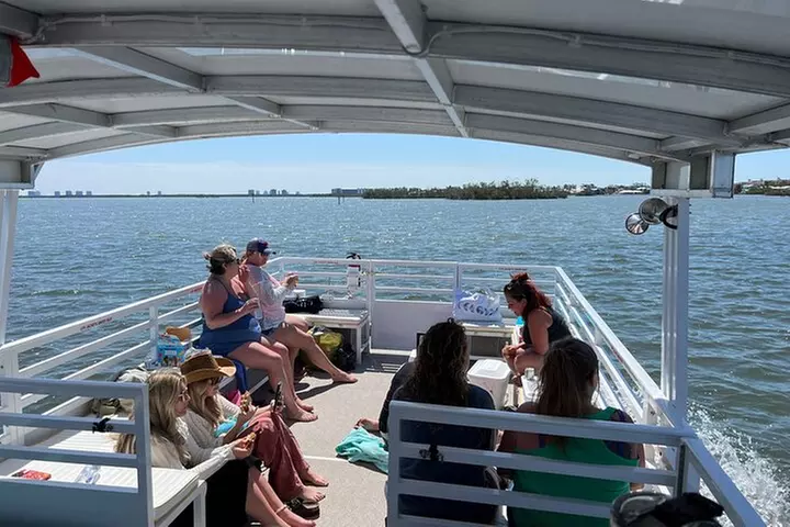 2 HR Dolphin Tour for 7 people