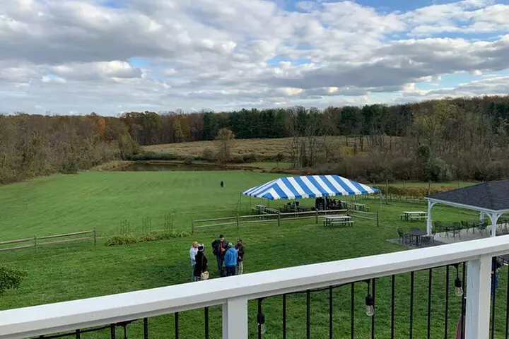 Private Loudoun County Wine Tour from DC with Stops at 3 Wineries