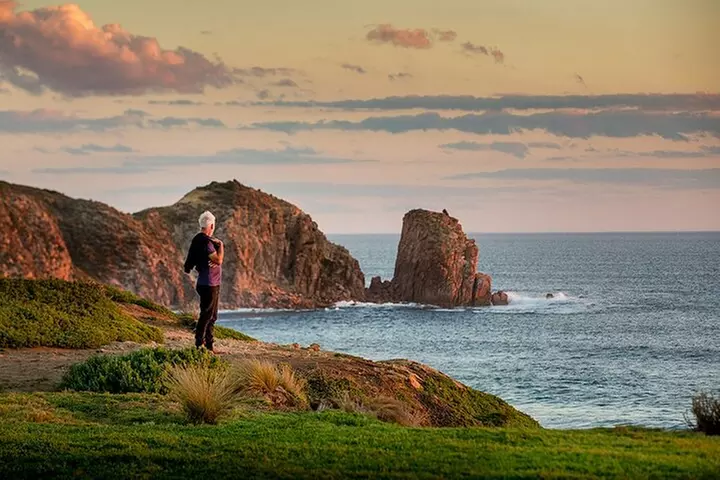 Full-Day Phillip Island Tour with Kangaroo, Koala and Penguin Parade - Primary Image