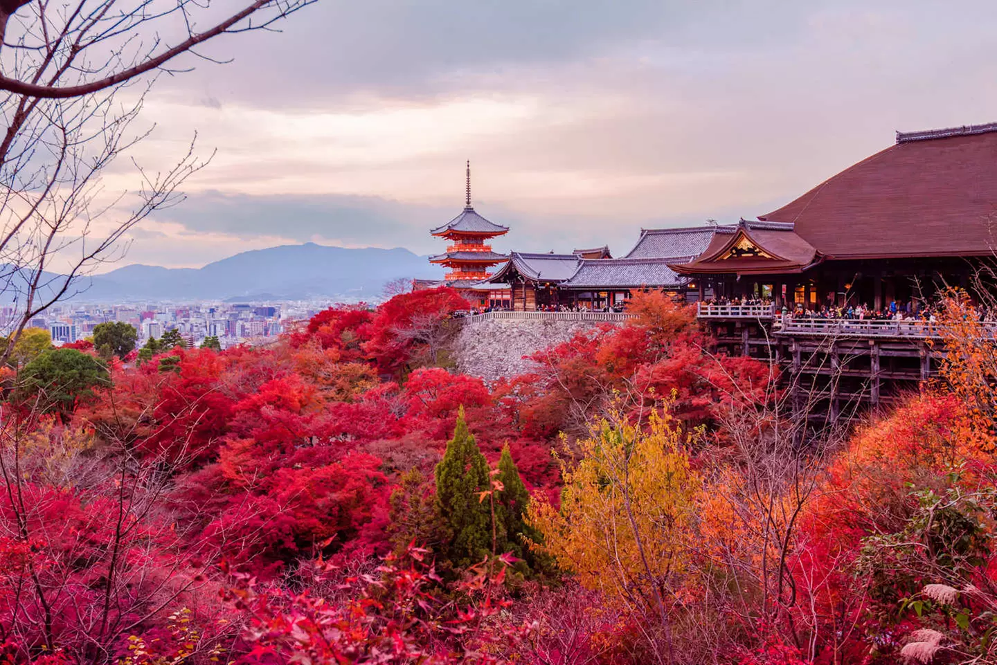 ✈ GIAPPONE | Da Tokyo a Osaka - Paradiso Giapponese: Tokyo, Kyoto, ...