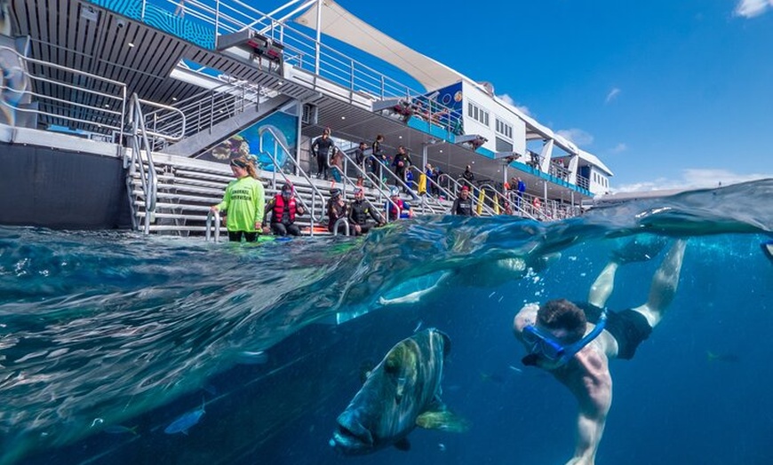 Image 1: Snorkel & Dive the Reef: Sustainable, Scientific & Cultural Tour