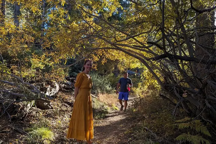 Family-Friendly Nature Hike around the Big Bear Valley